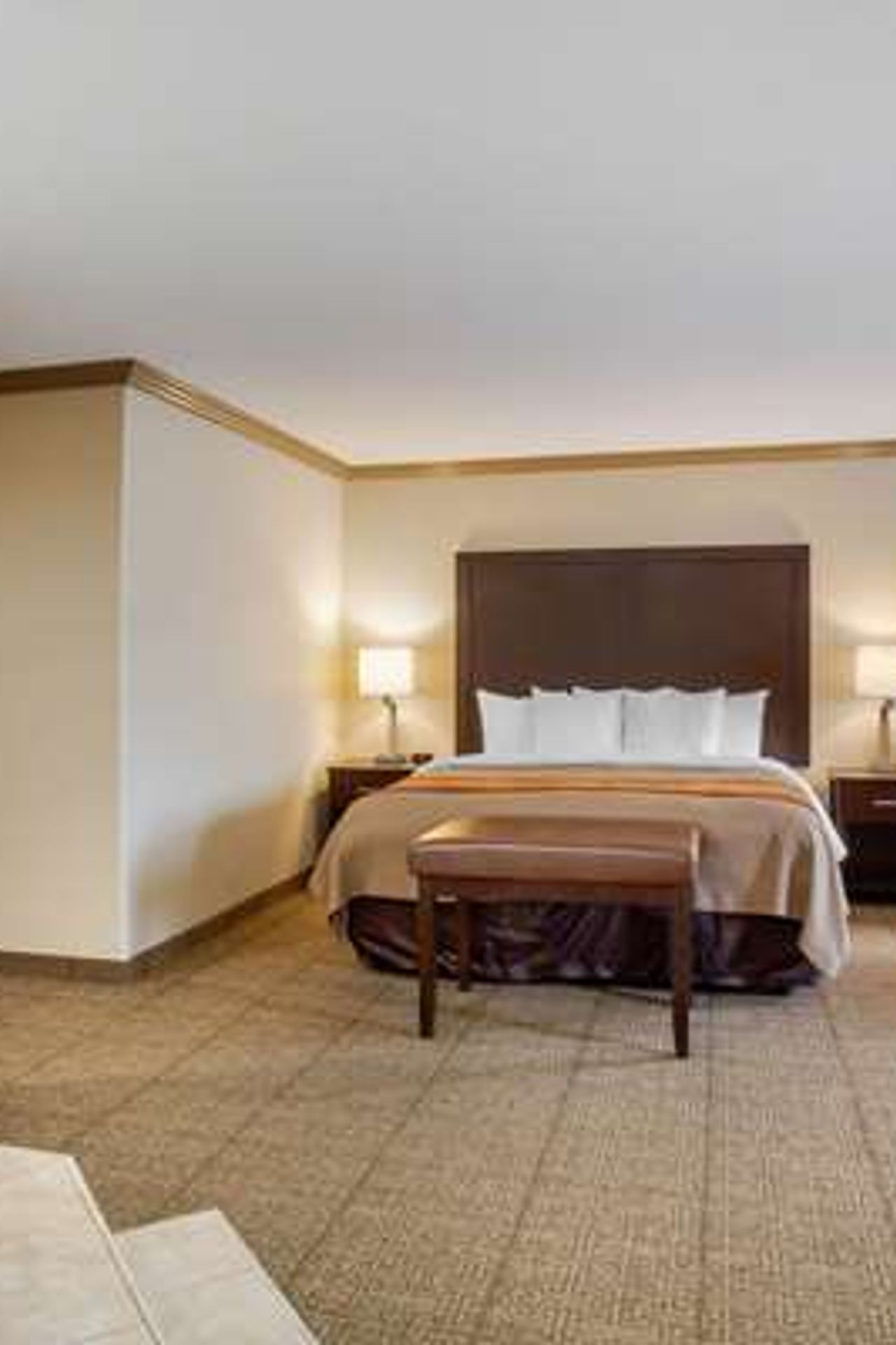 Photo of Comfort Inn Castro Valley