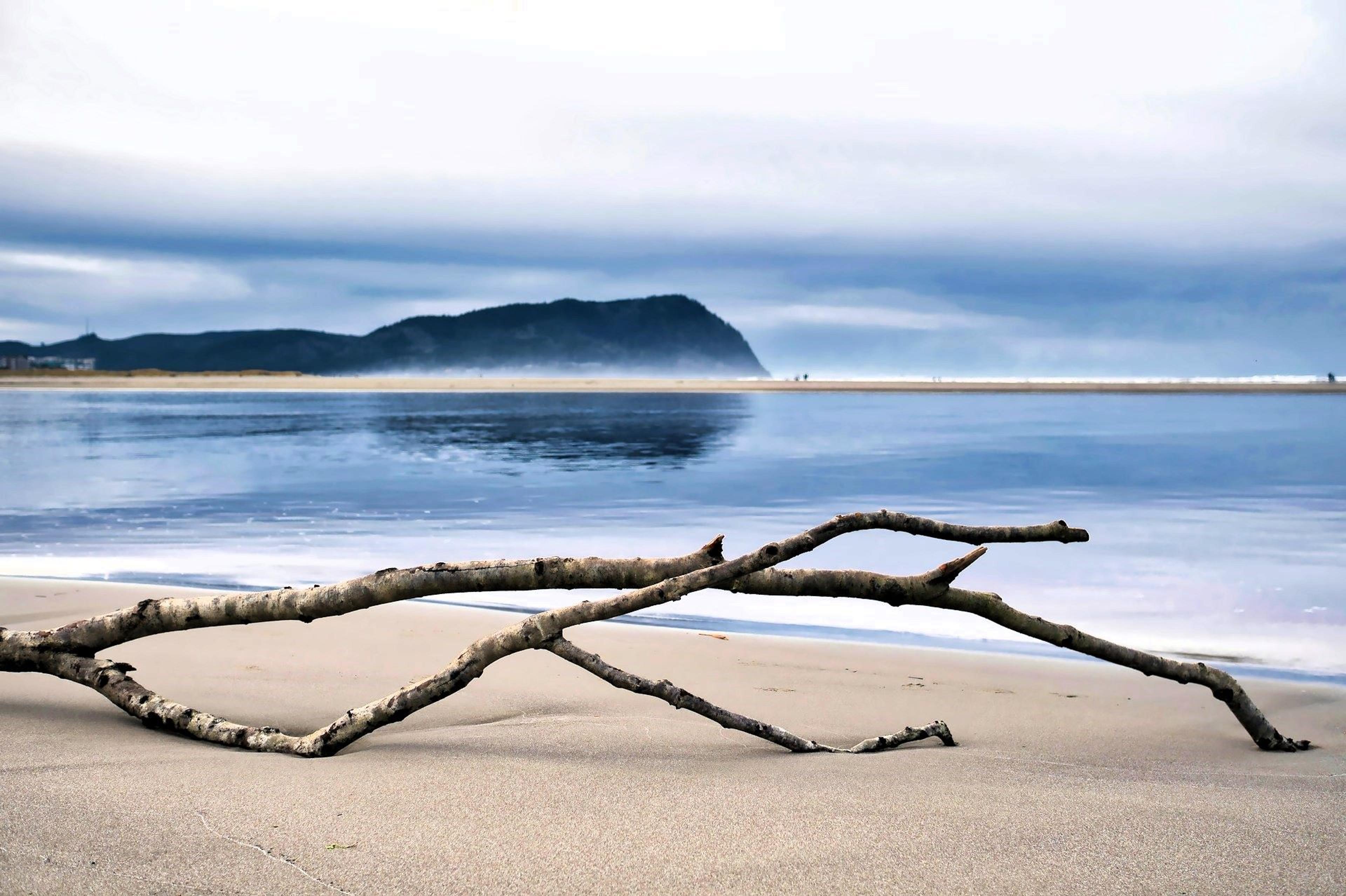 Blue Saturday morning walk as a spring storm approaches Gearhart on the Oregon Coast.