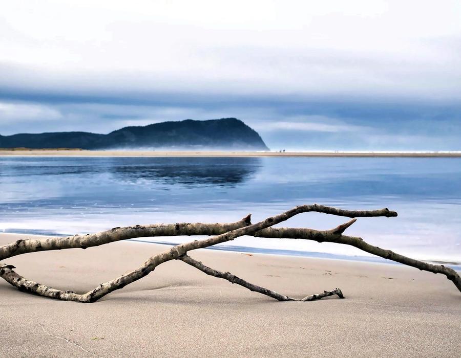 Blue Saturday morning walk as a spring storm approaches Gearhart on the Oregon Coast.