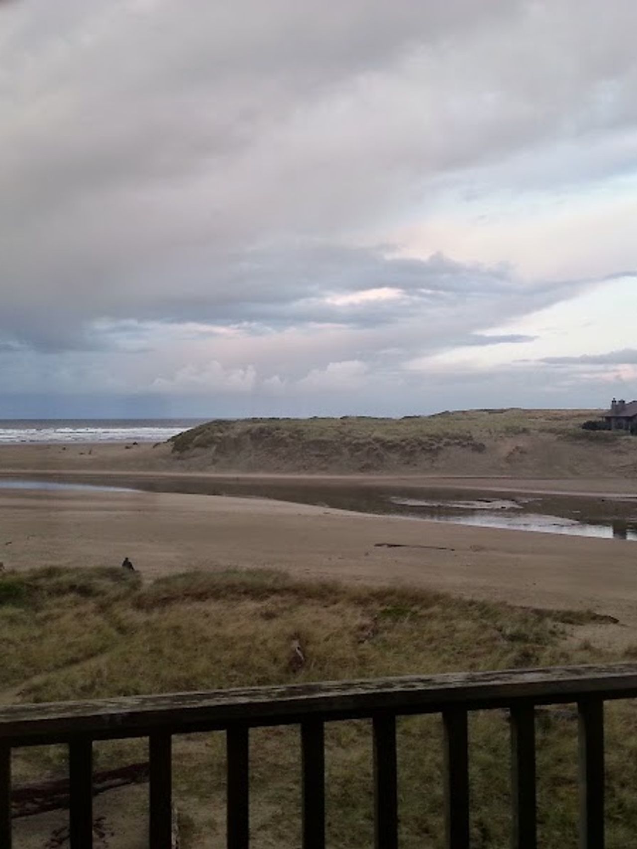 Photo of Sea Sprite on the Estuary