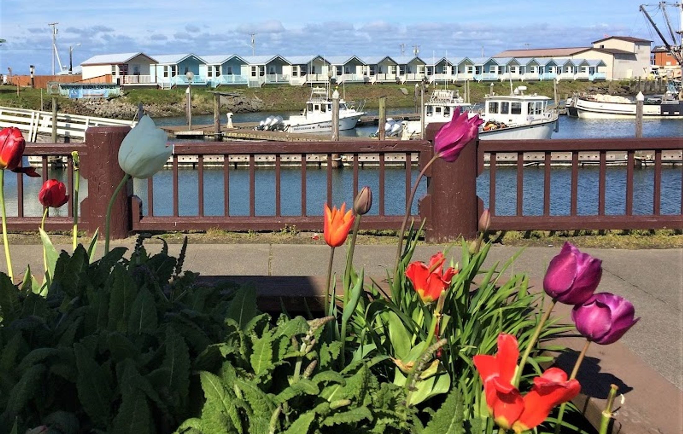 Westport Marina Cottages Motel