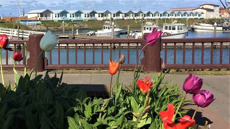Photo of Westport Marina Cottages Motel