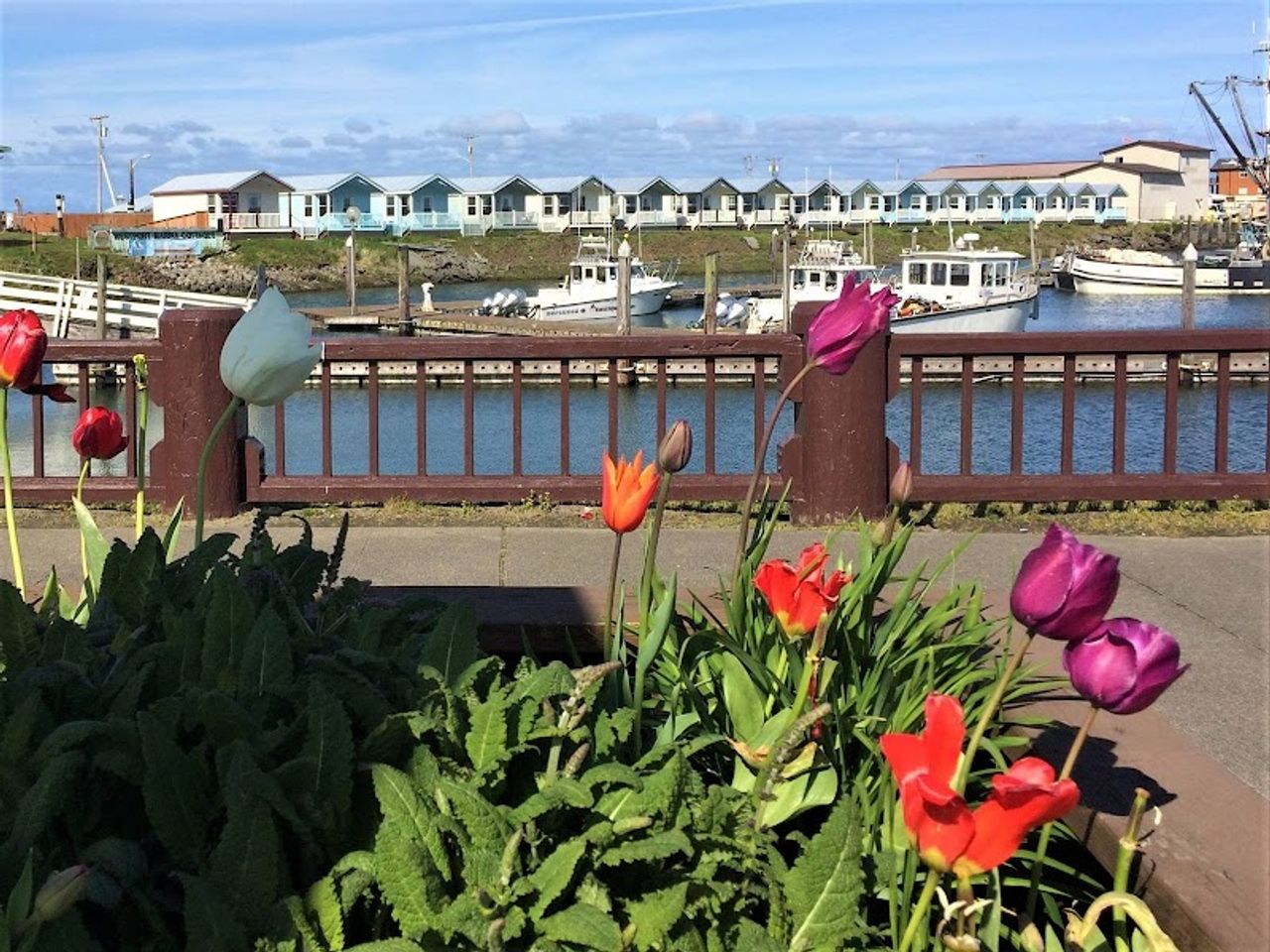 Photo of Westport Marina Cottages Motel