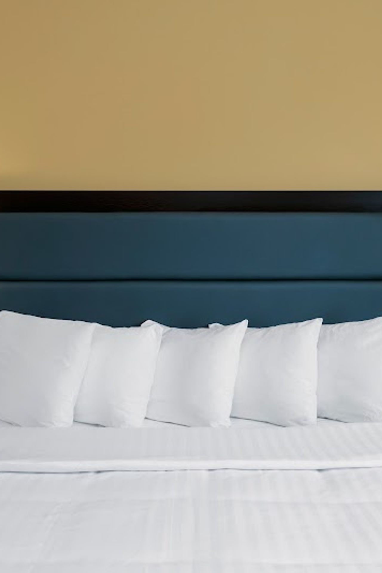 Photo of Hotel 1550