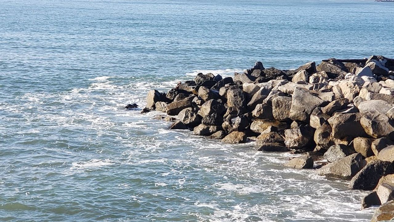 Photo of Harbor View Inn