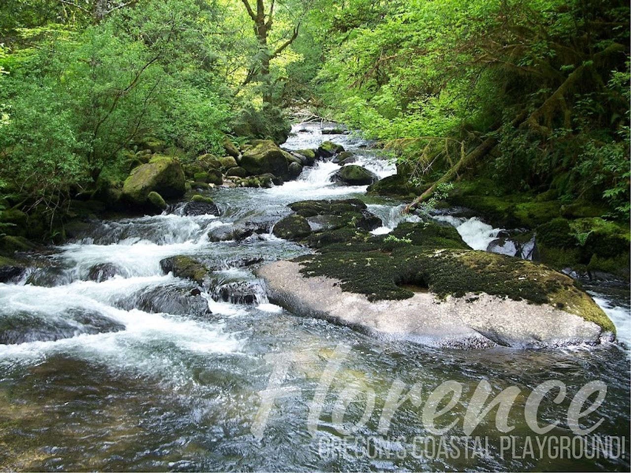 Photo of Super 8 Florence OR (Previously Old Town Inn)