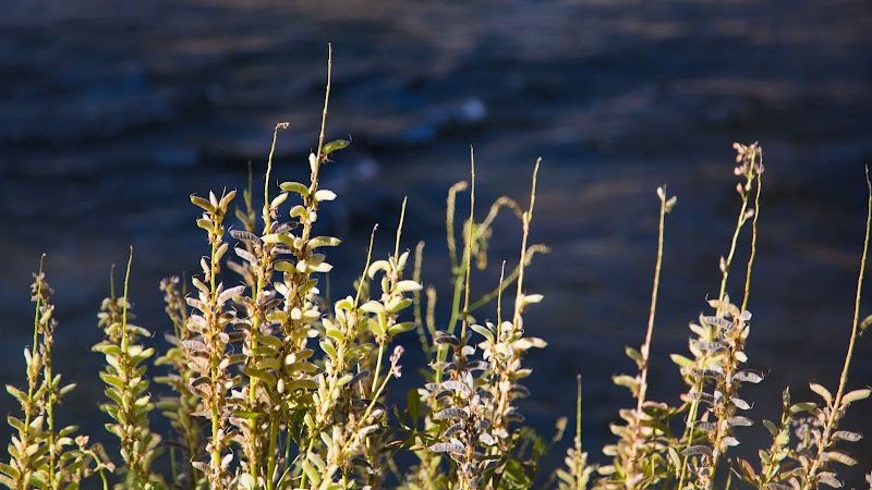 Photo of Hotel Rio Vista