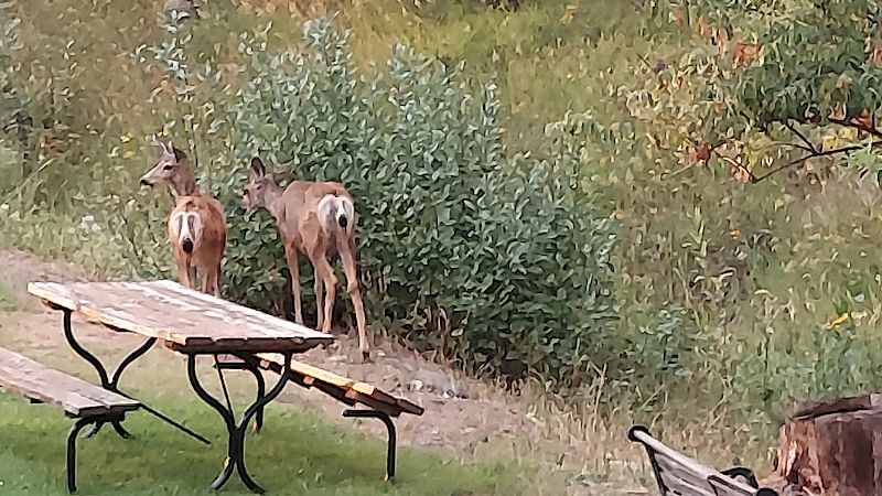 Photo of Methow River Lodge and Cabins