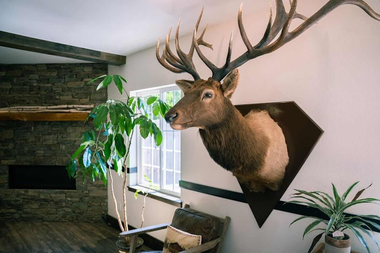 Photo of Blue Elk Inn