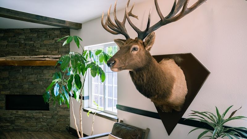 Photo of Blue Elk Inn