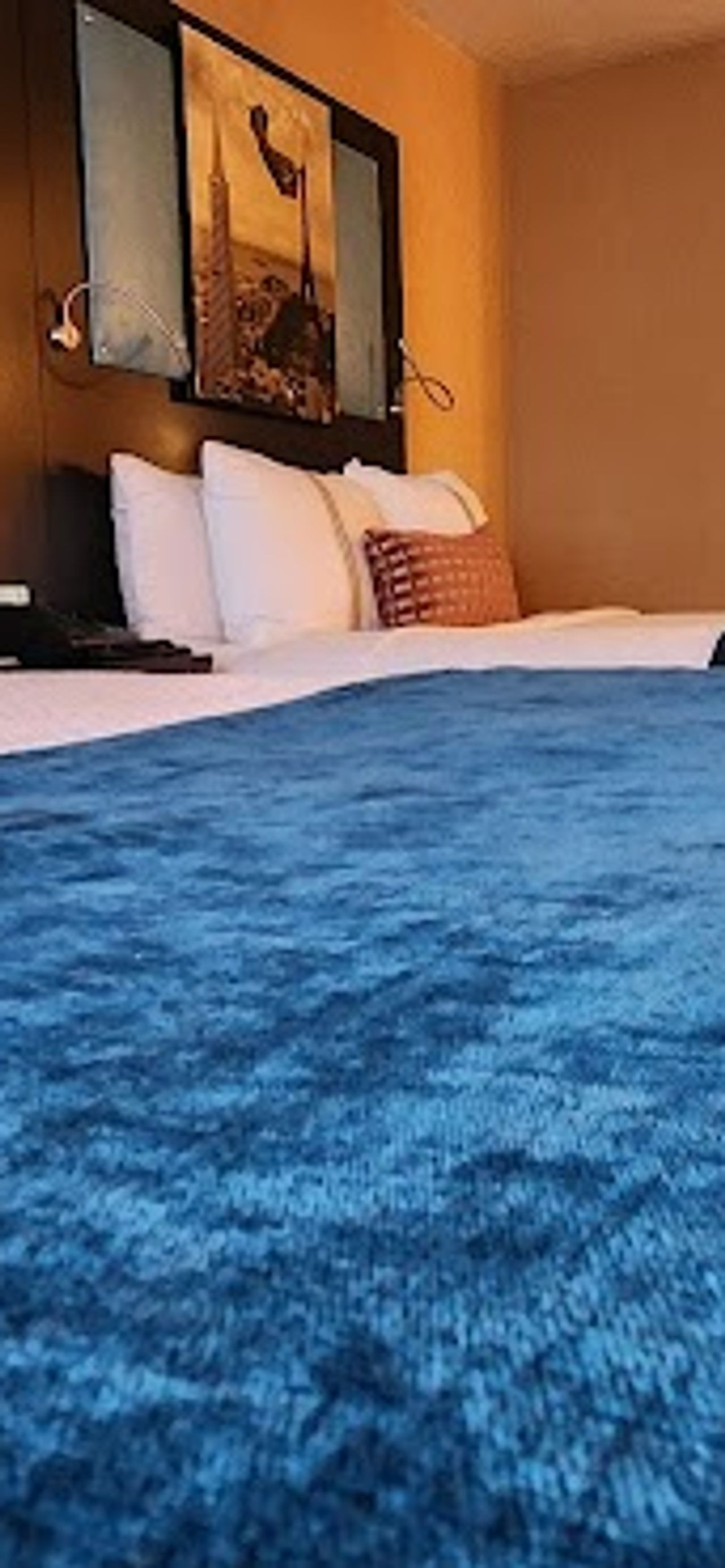 Photo of The Dylan Hotel at SFO