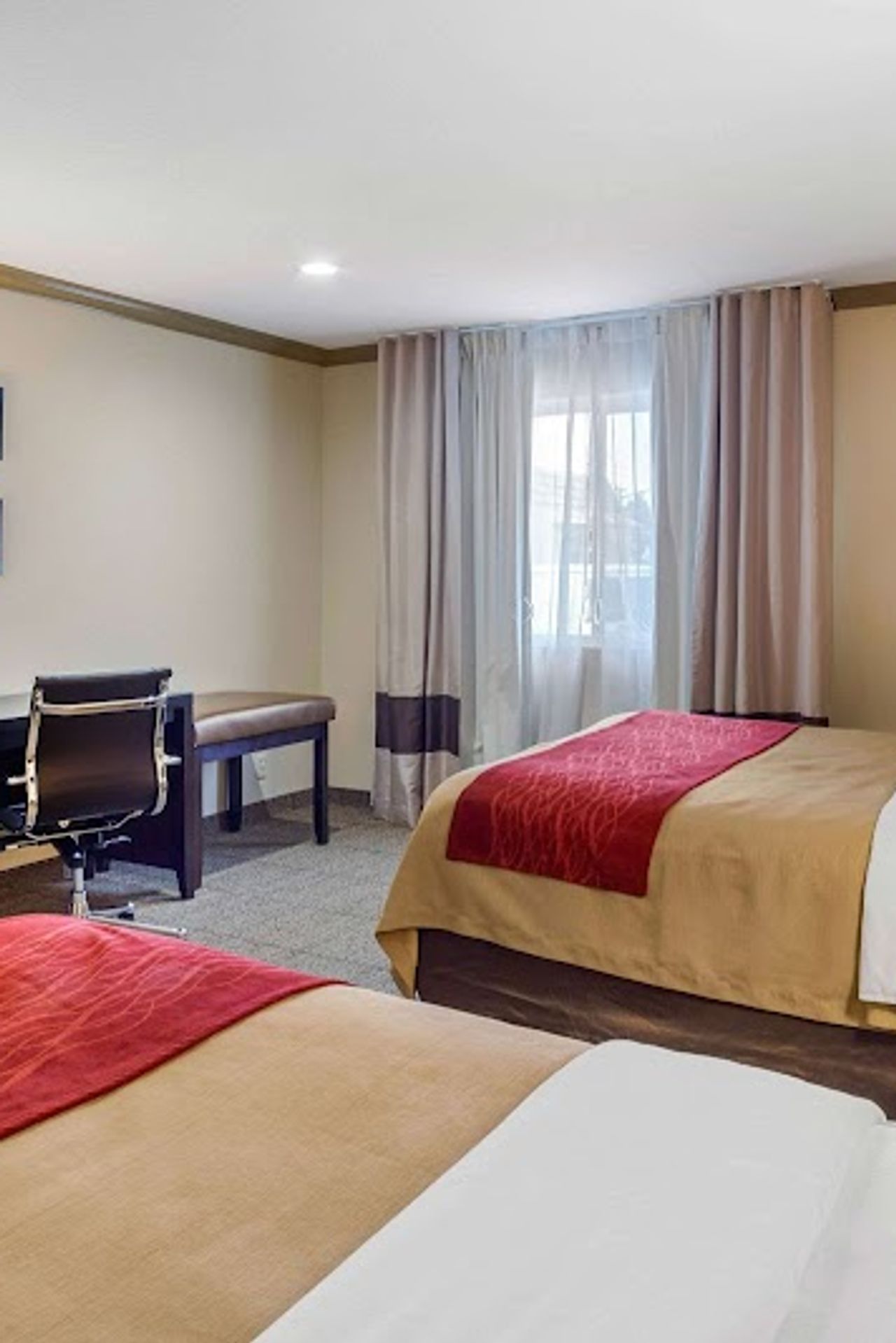 Photo of Comfort Inn Castro Valley