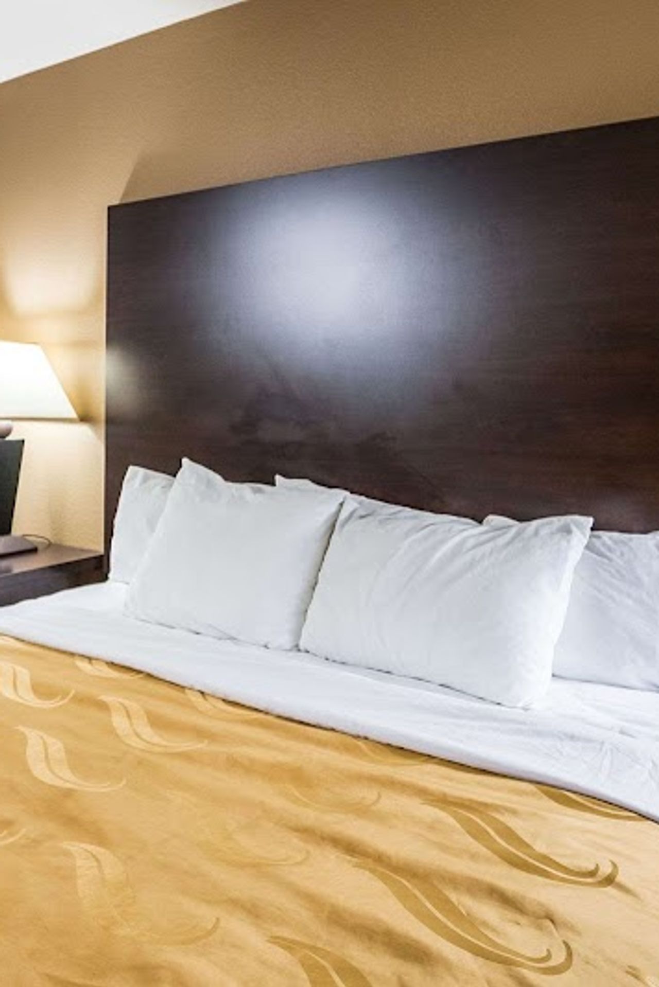 Photo of Quality Inn near Six Flags Discovery Kingdom-Napa Valley