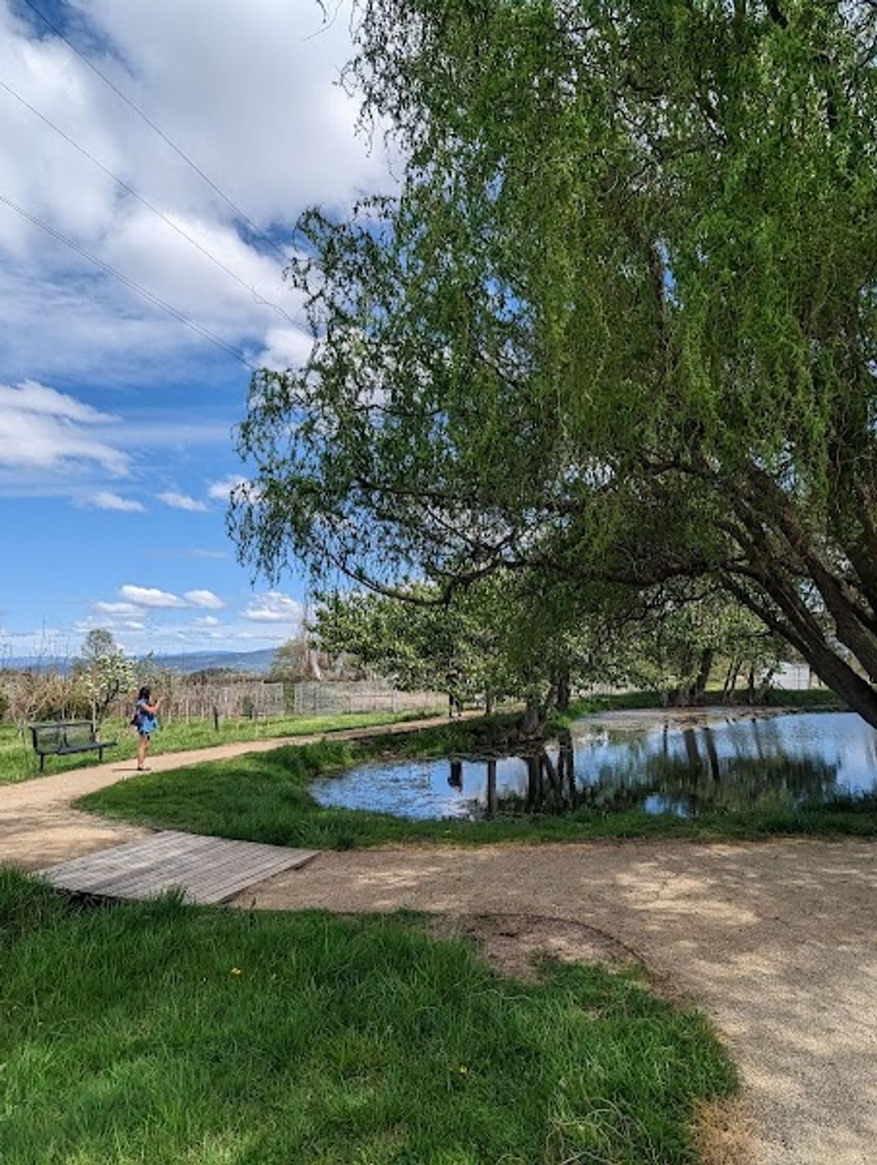 Photo of Rellik Winery