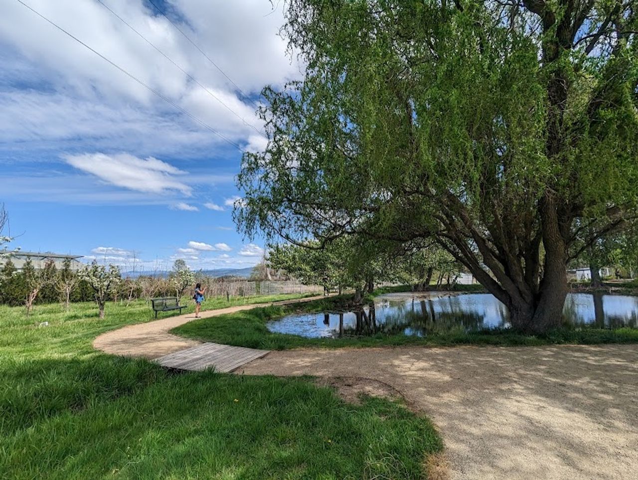 Photo of Rellik Winery