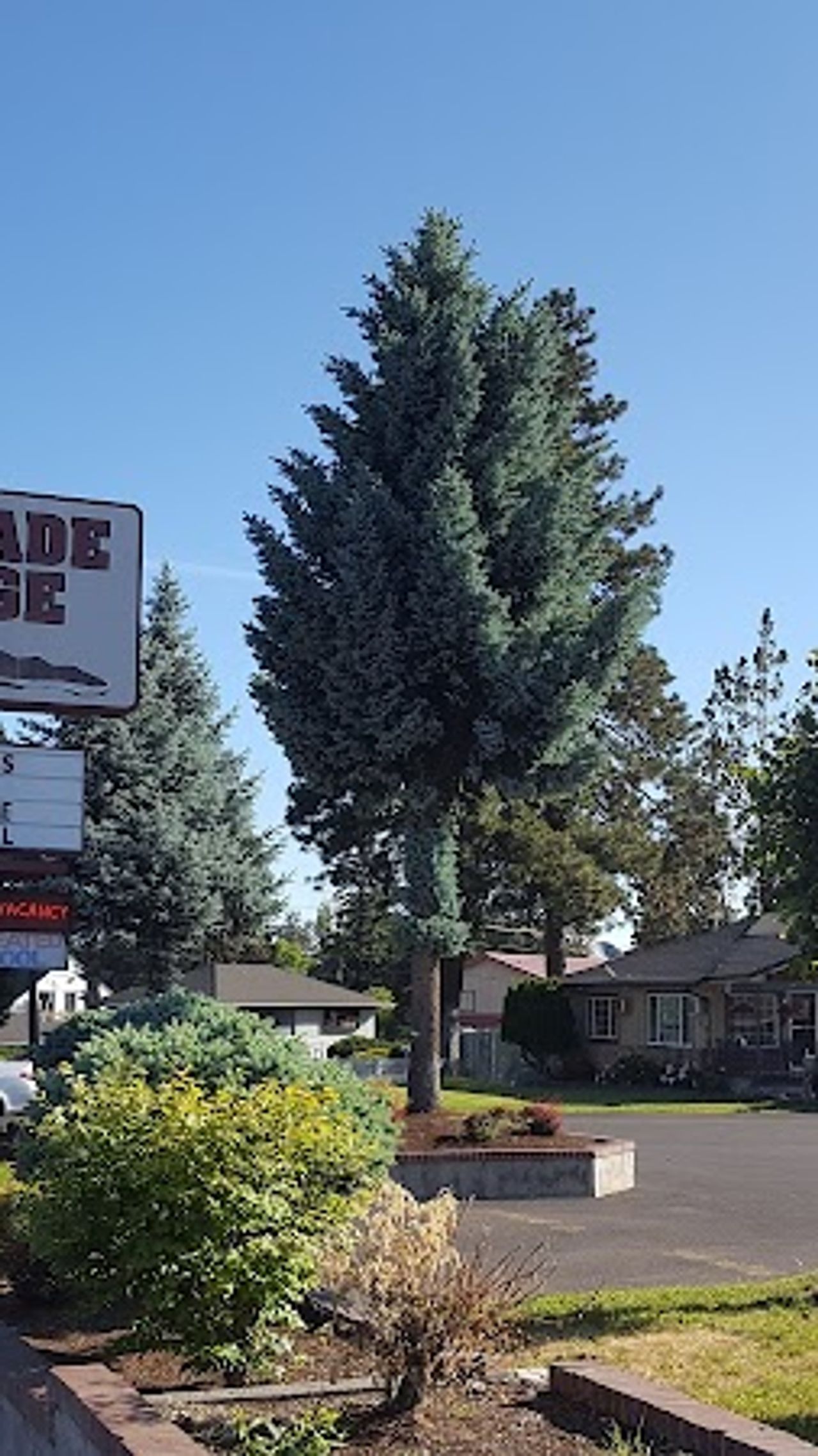 Photo of Cascade Lodge