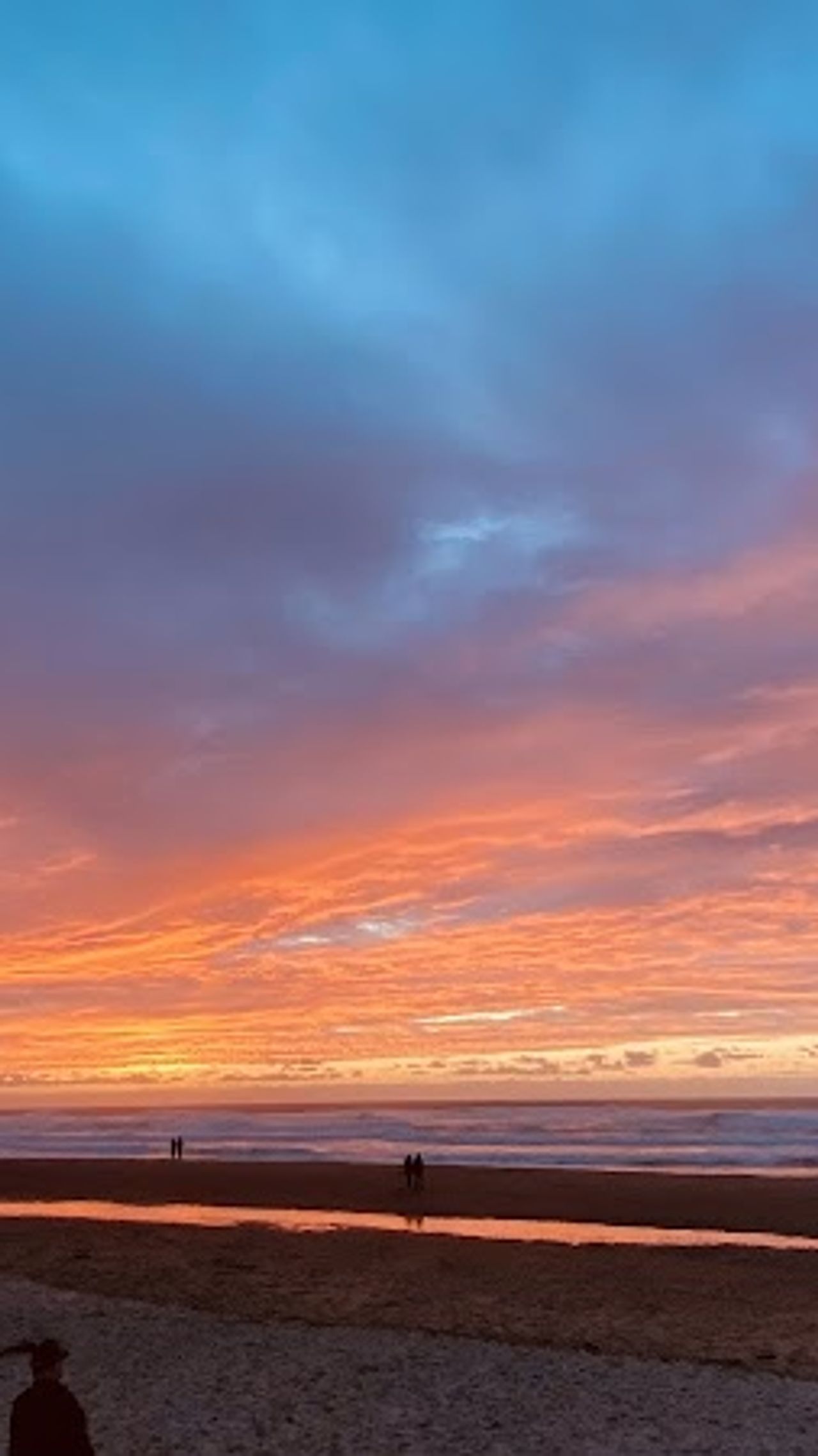 Photo of Seahorse Oceanfront Lodging