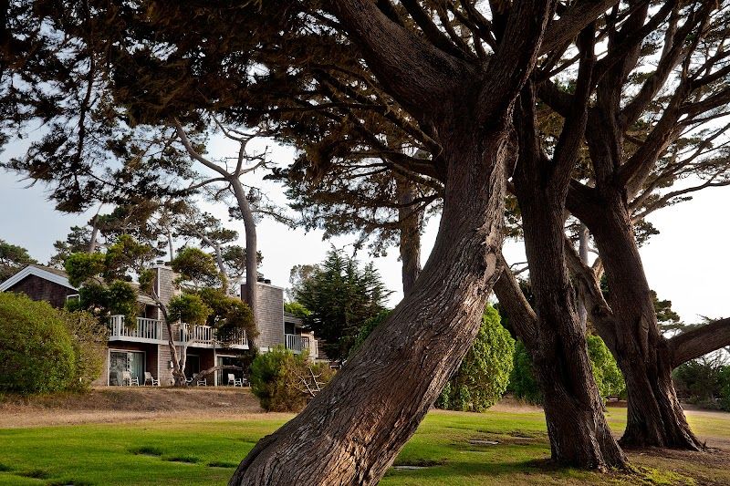 Photo of Lighthouse Lodge & Cottages - Natural Landscape Around Lighthouse Lodge Cottages