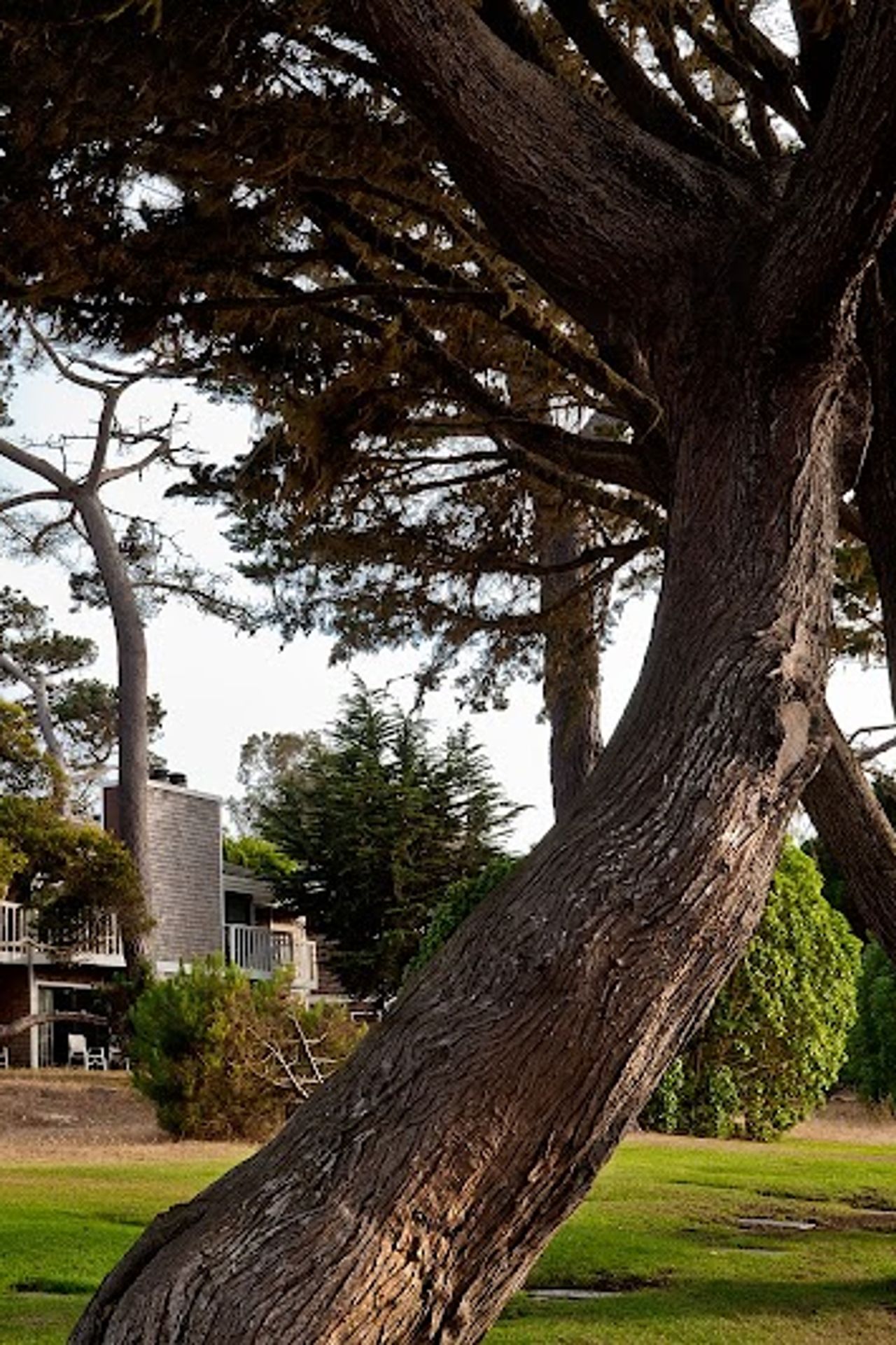 Photo of Lighthouse Lodge & Cottages - Natural Landscape Around Lighthouse Lodge Cottages
