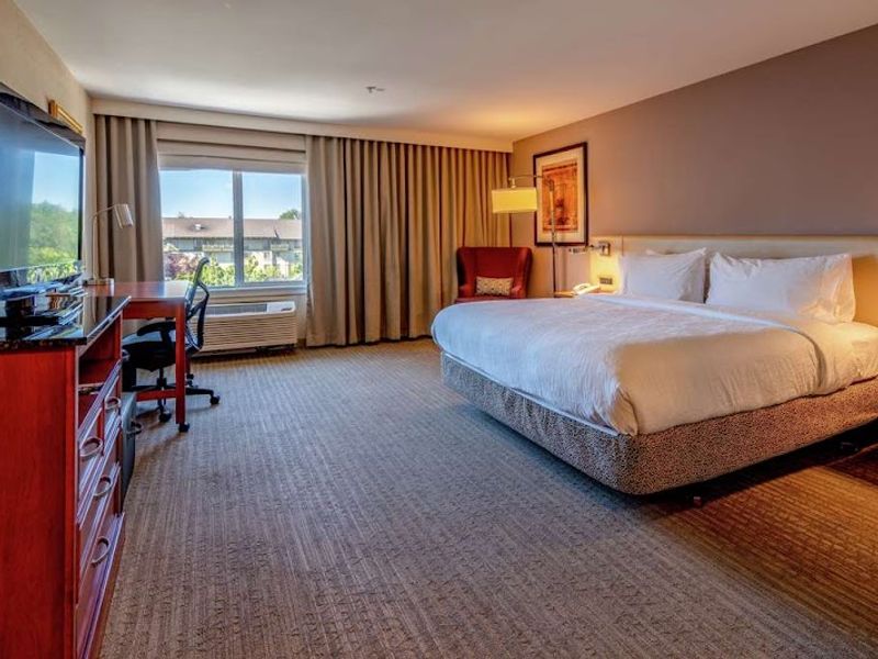Photo of Hilton Garden Inn Seattle/Renton