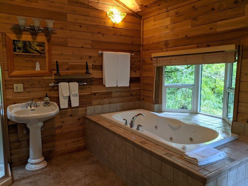 Photo of Deep Forest Cabins - Cedar Grove Cabin, Indoor two‑person jetted soaking tub with forest views
