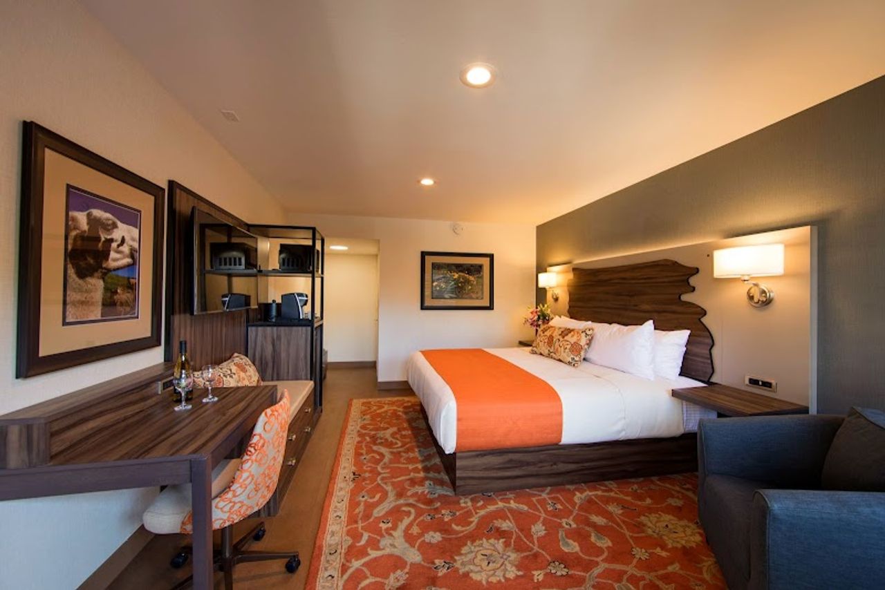 Photo of The Vine Inn Davis