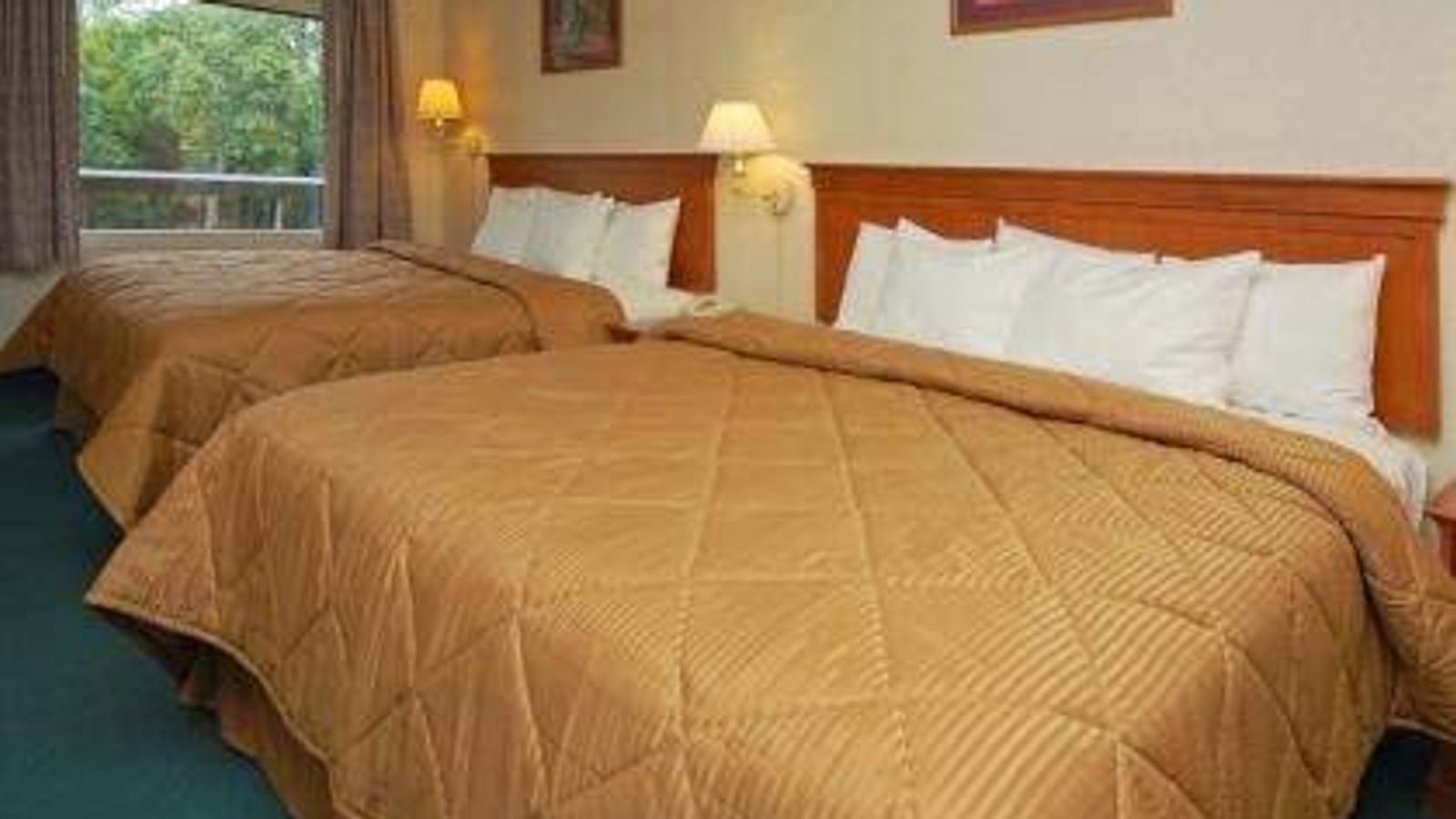 Photo of Comfort Inn & Suites