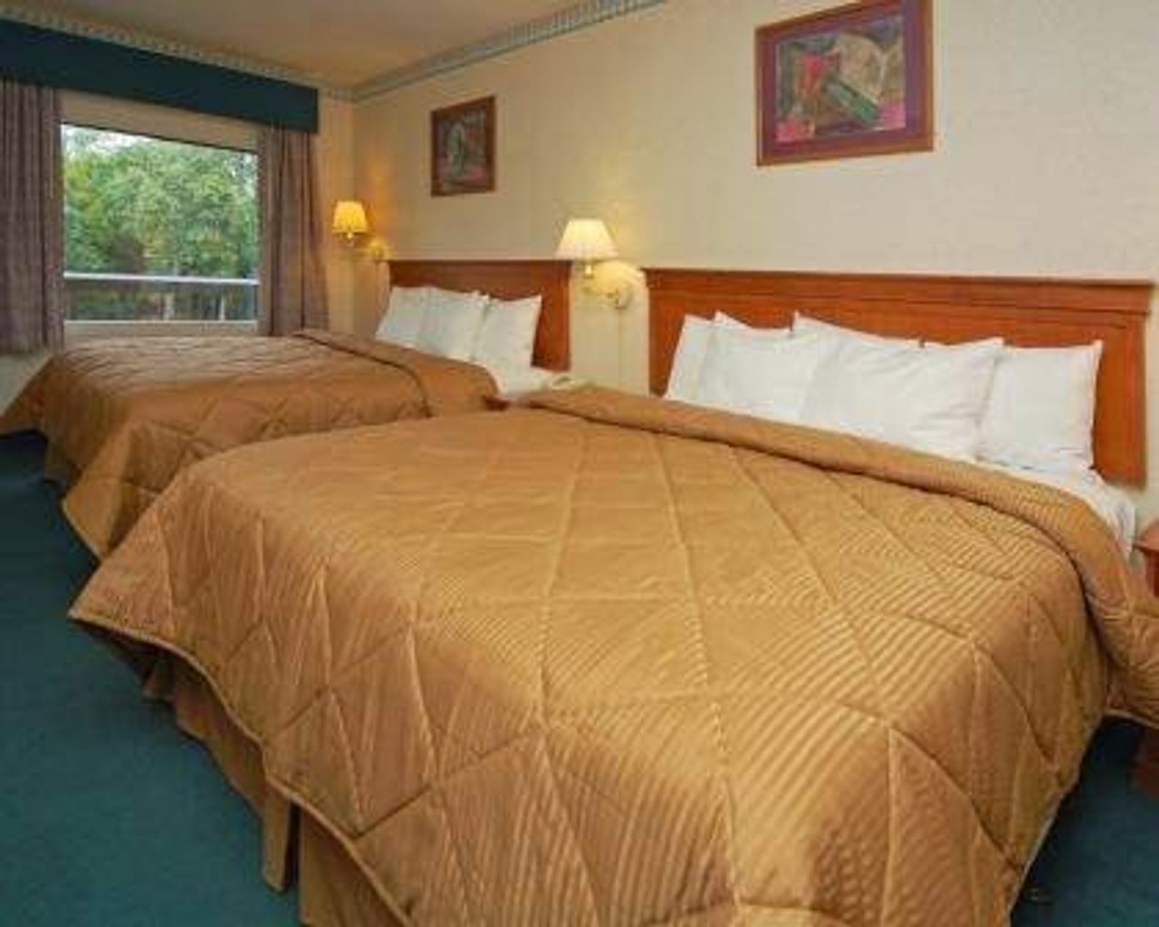 Photo of Comfort Inn & Suites