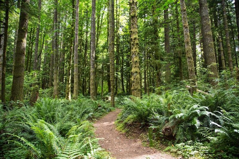 Photo of Mt Hood Village Campground