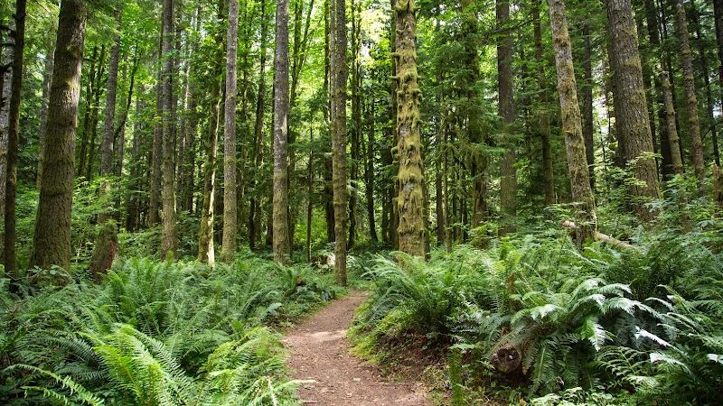 Photo of Mt Hood Village Campground