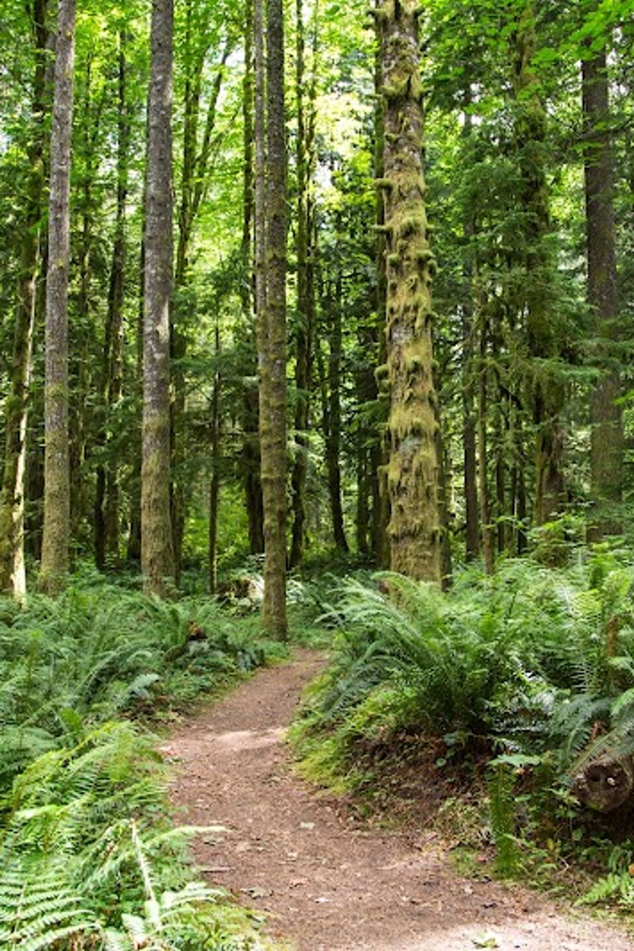 Photo of Mt Hood Village Campground