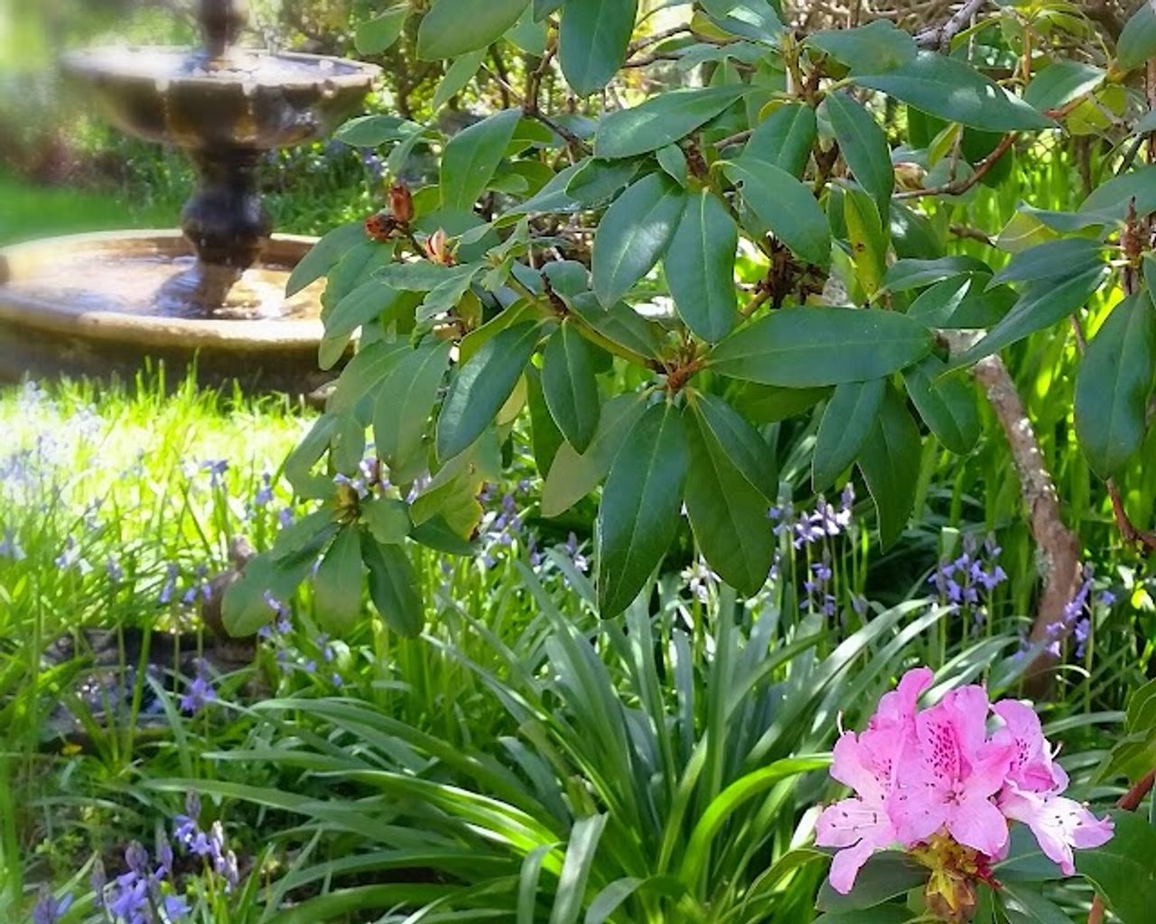 Photo of Endicott Gardens Bed & Breakfast and Spa