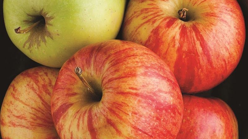 Photo of La Quinta Inn by Wyndham Livermore