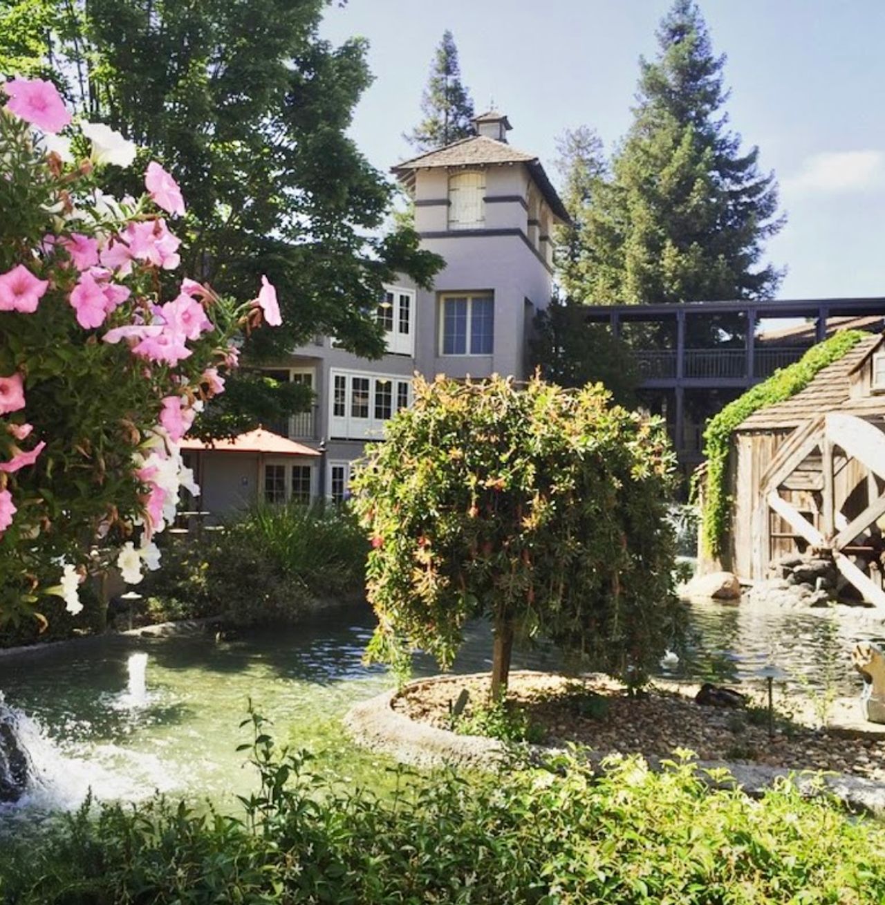 Photo of Casa Mani Resort Napa Valley, Curio Collection by Hilton - Property grounds