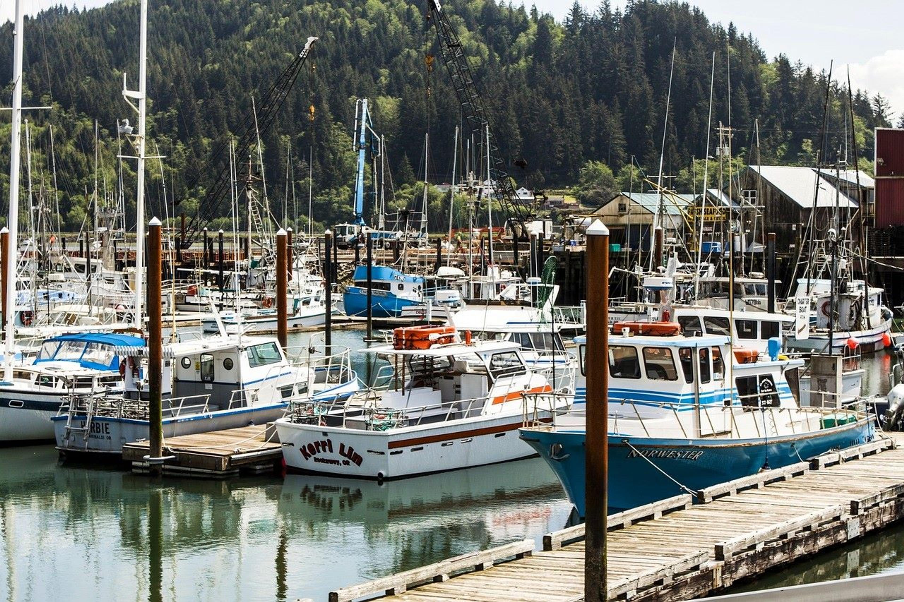 An image of the Garibaldi’s harbor