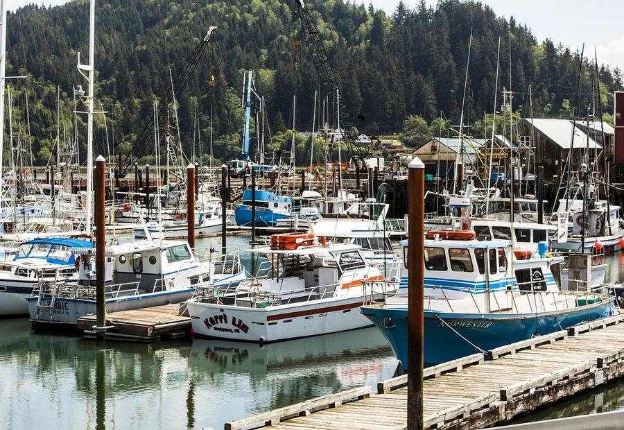 An image of the Garibaldi’s harbor
