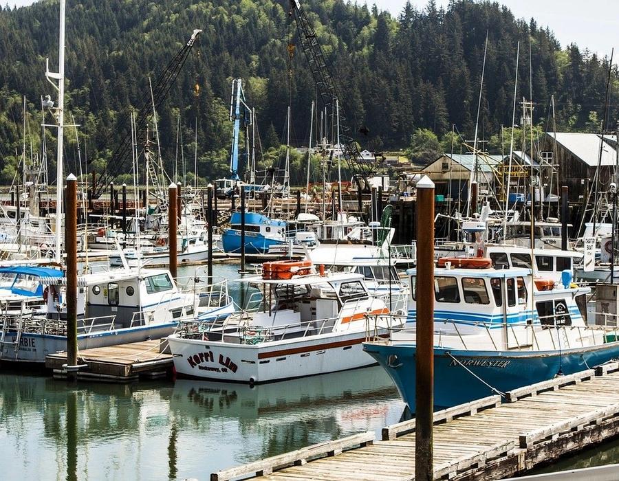 An image of the Garibaldi’s harbor