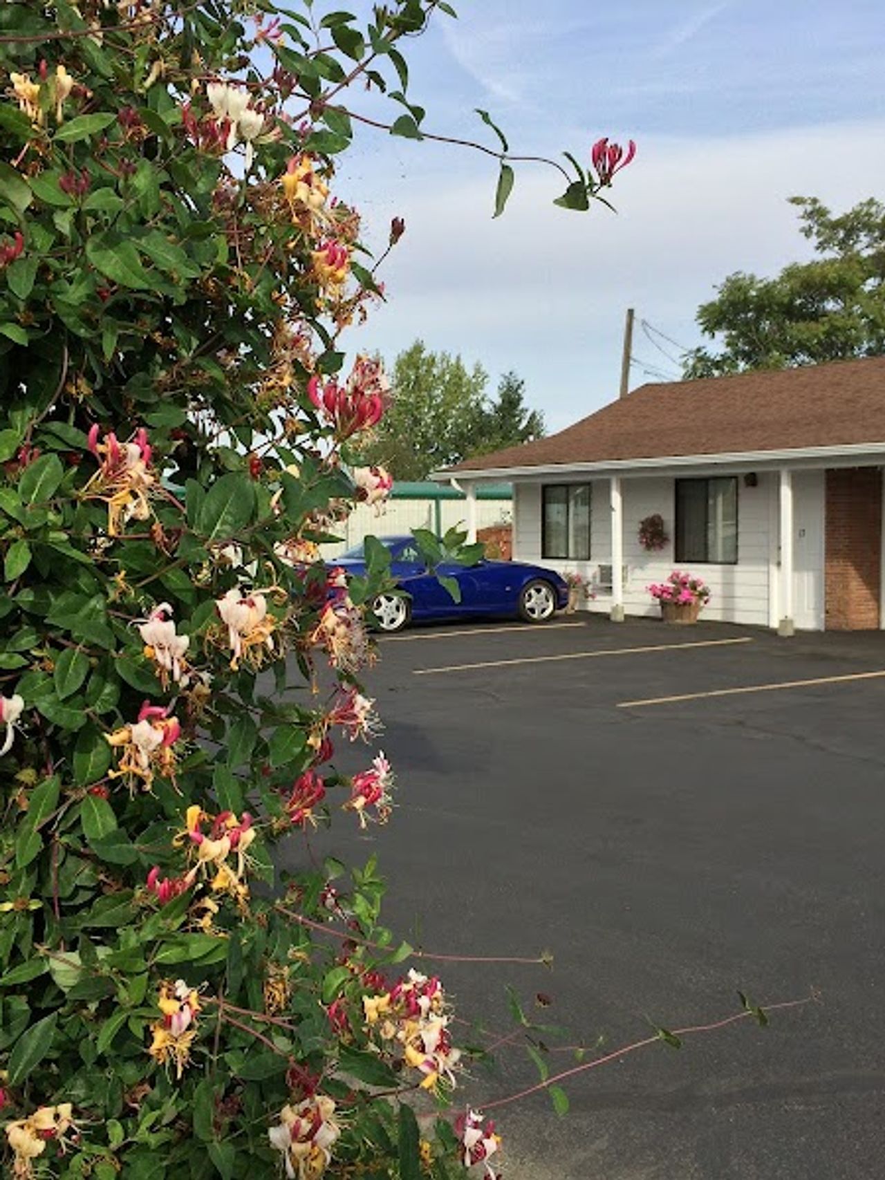 Photo of Walla Walla Garden Motel