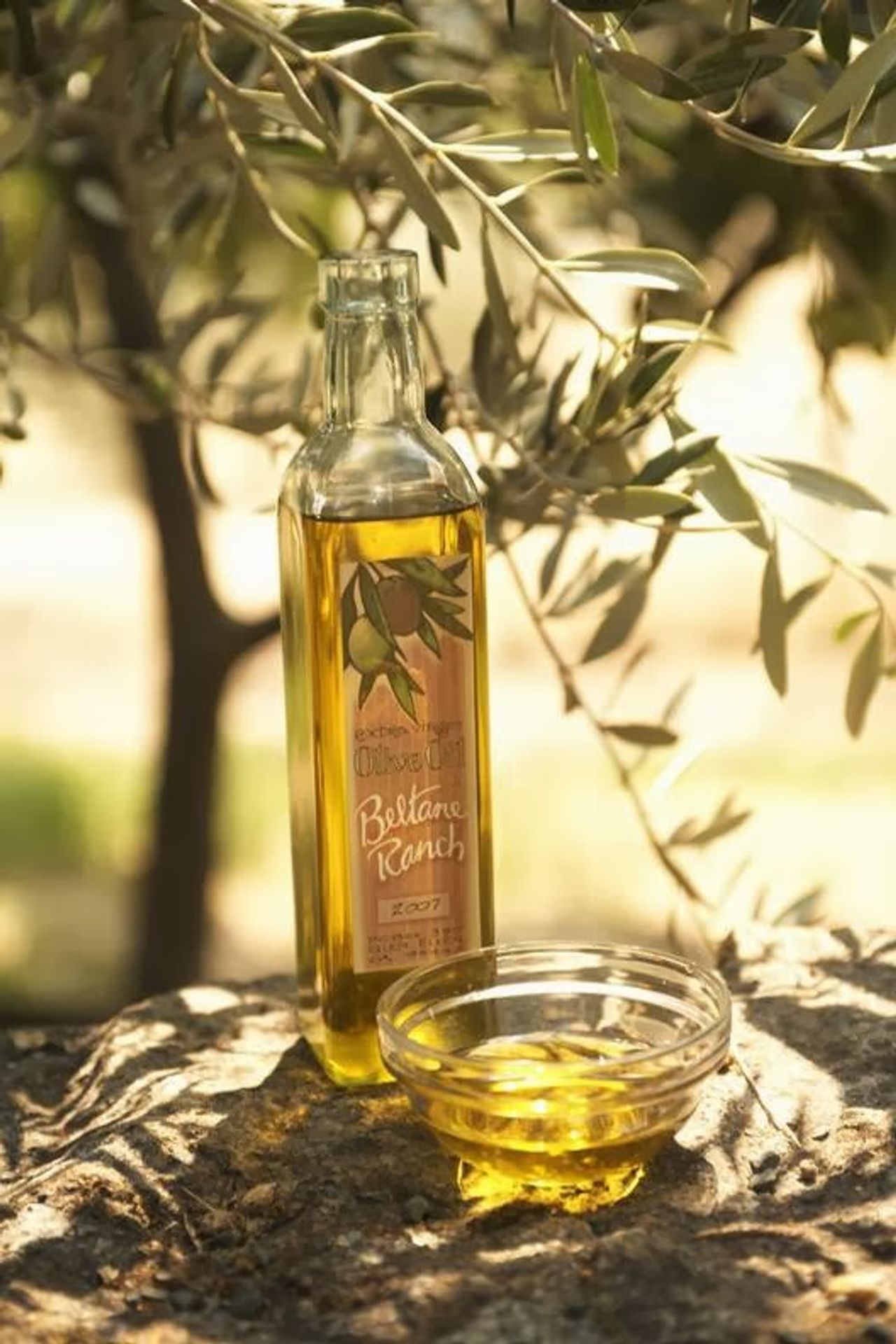 Photo of Beltane Ranch