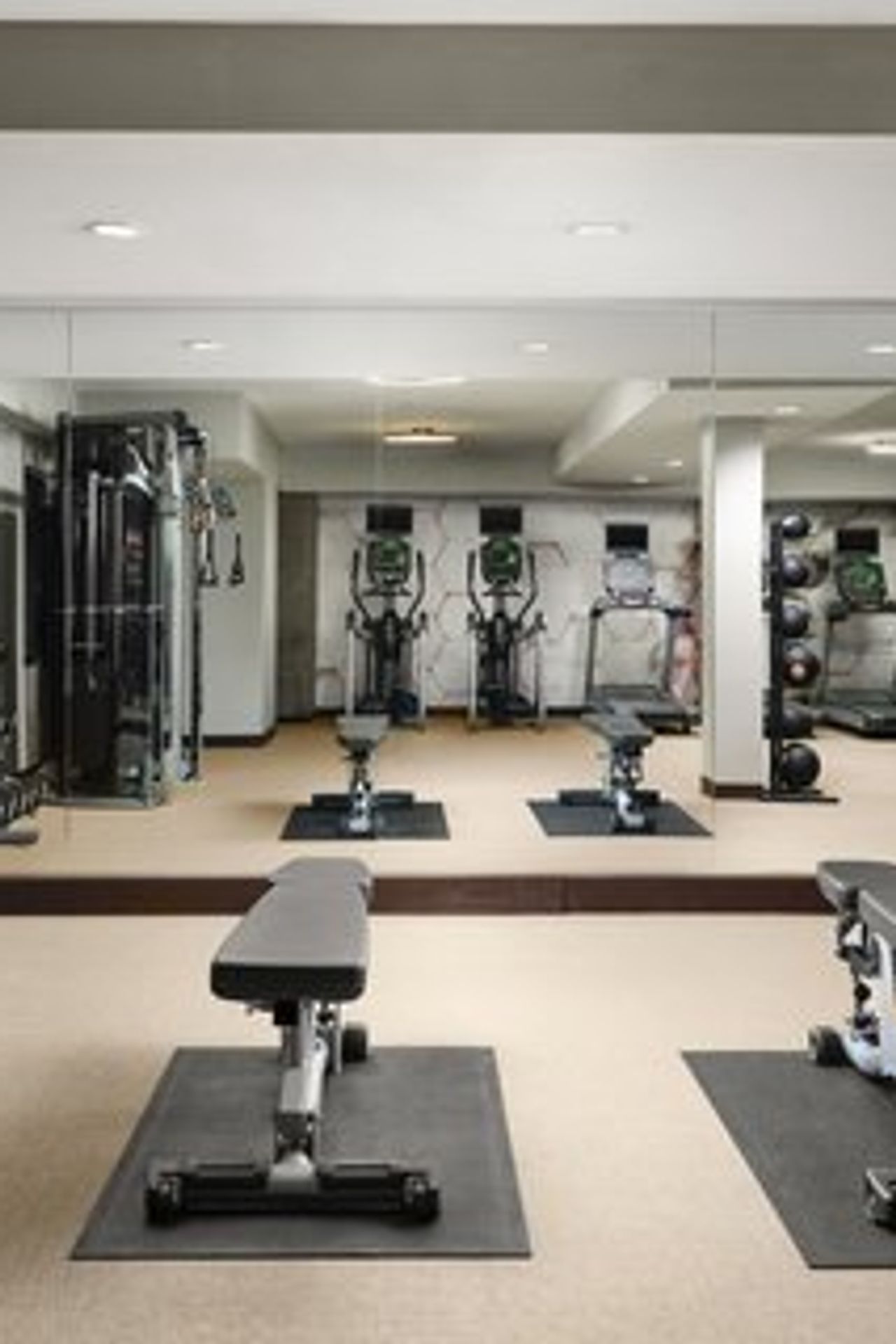Photo of SpringHill Suites Milpitas Silicon Valley