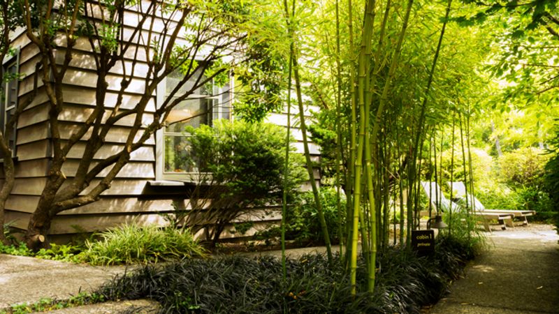 Photo of Coast Cabins