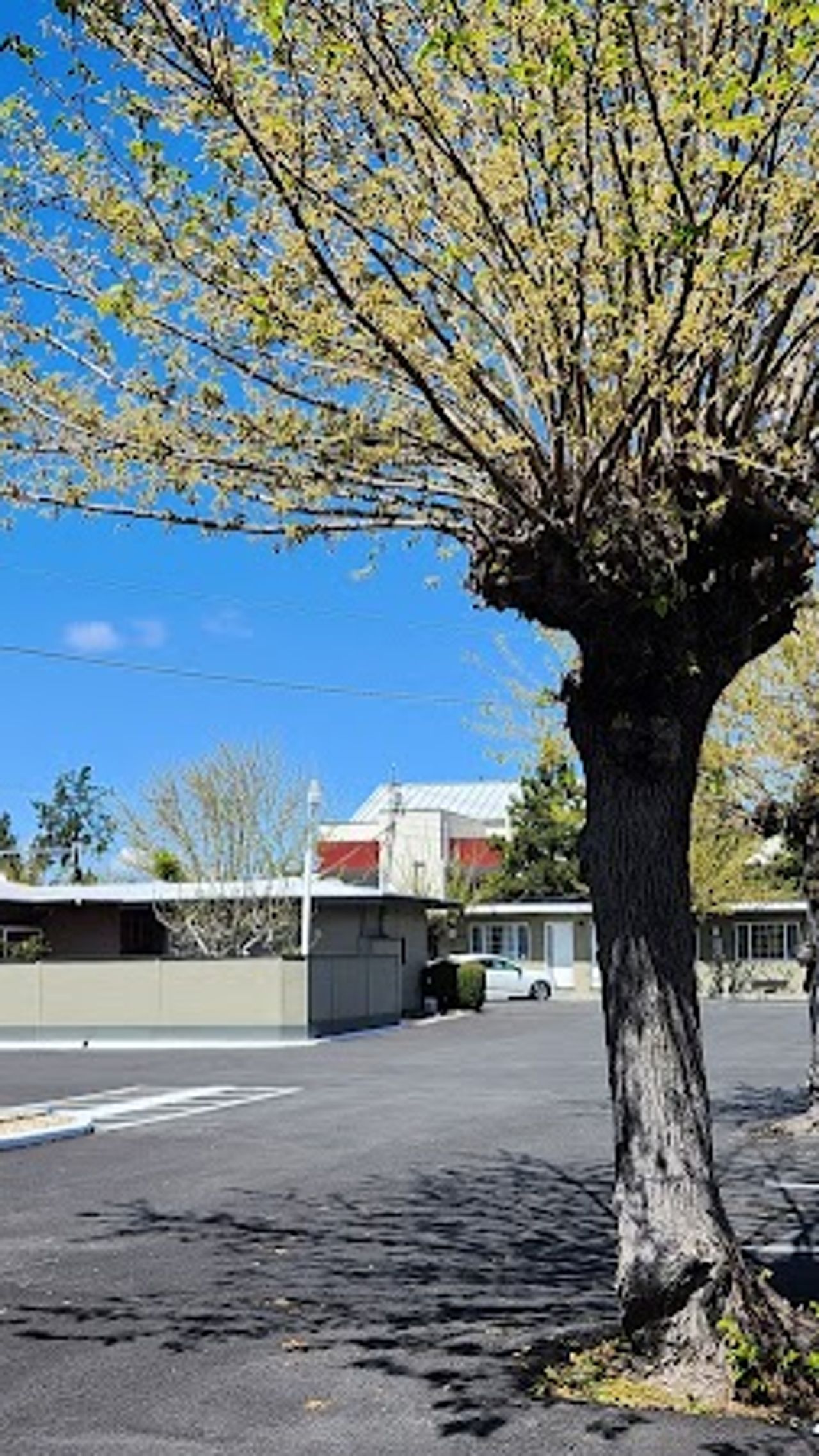 Photo of Redwood Inn