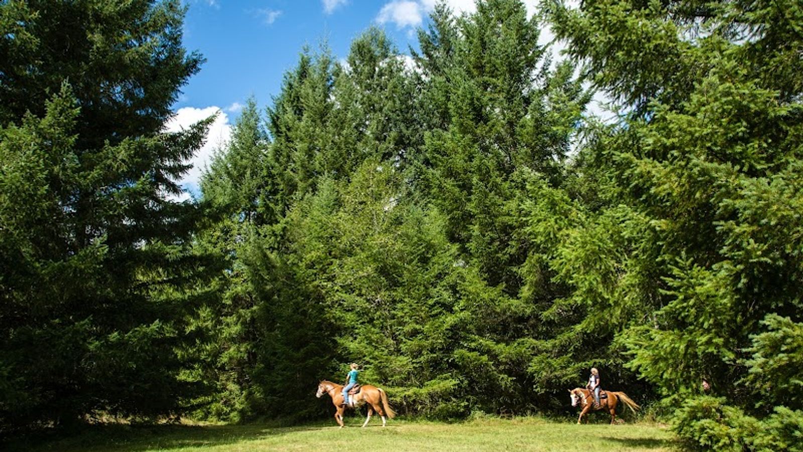 Photo of Thousand Trails Chehalis