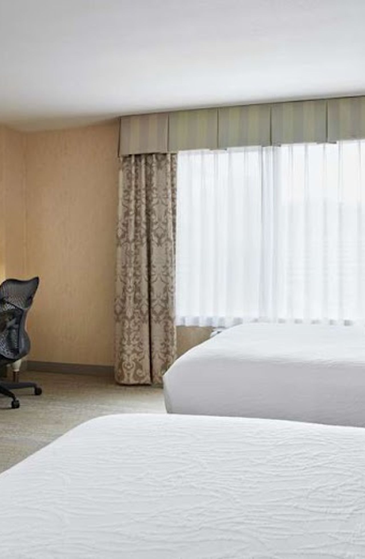 Photo of Hilton Garden Inn San Francisco Airport North