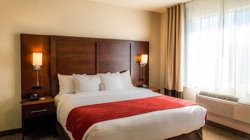 Photo of Comfort Suites Springfield RiverBend Medical - Room, King bed