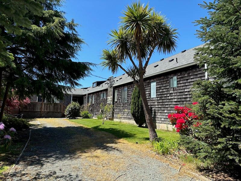 Photo of San Dune Inn