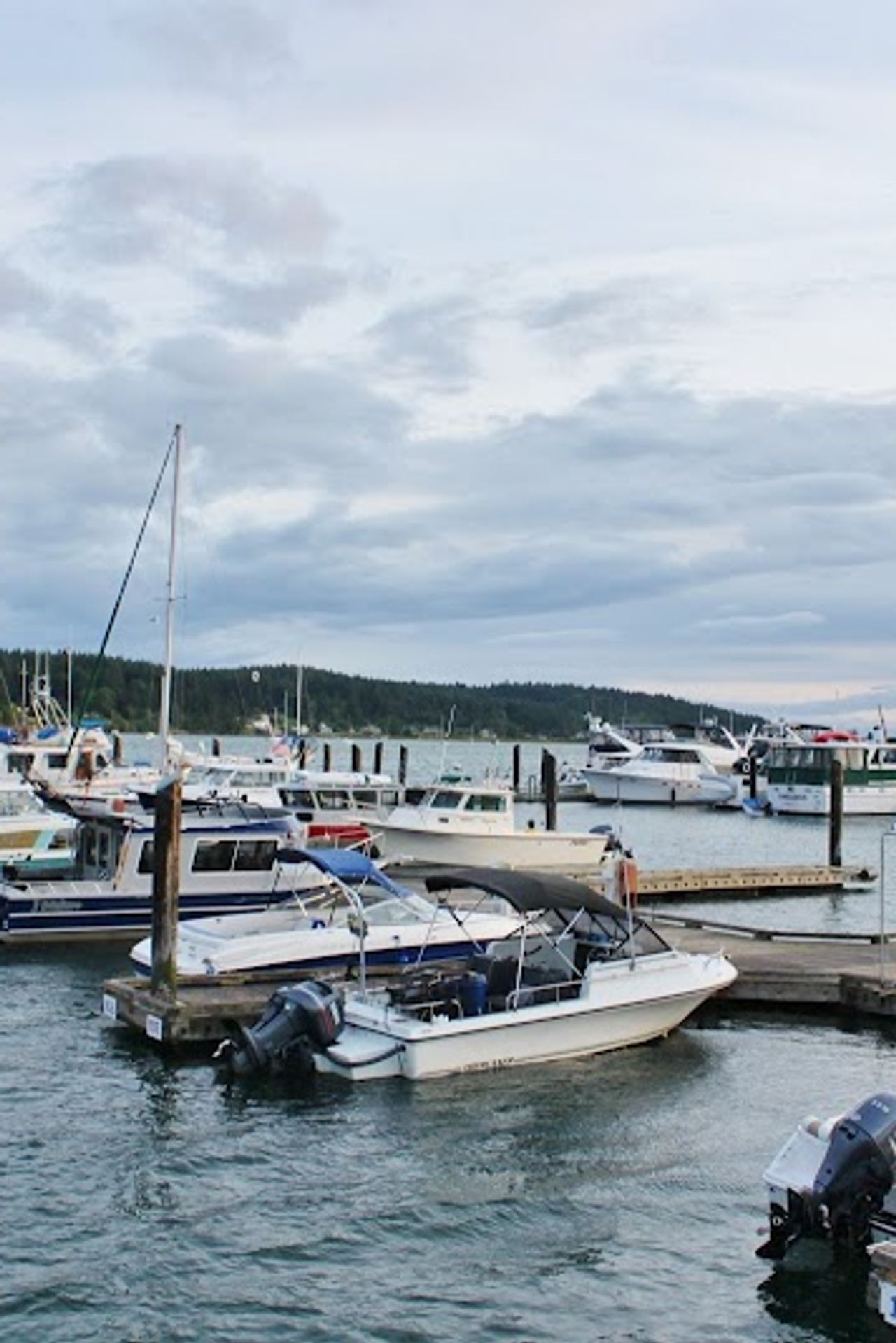 Photo of Lopez Islander Resort and Marina