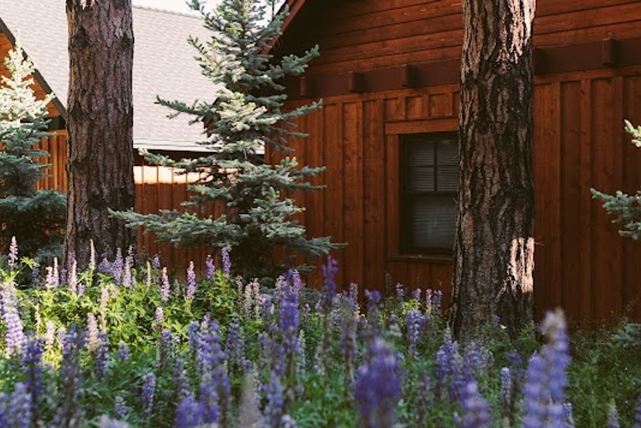 Photo of FivePine Lodge and Spa