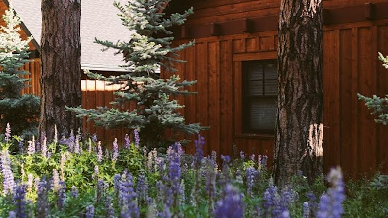 Photo of FivePine Lodge and Spa