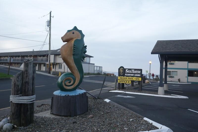 Seahorse Oceanfront Lodging